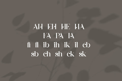 Hergika Typeface Font Storytype Studio 