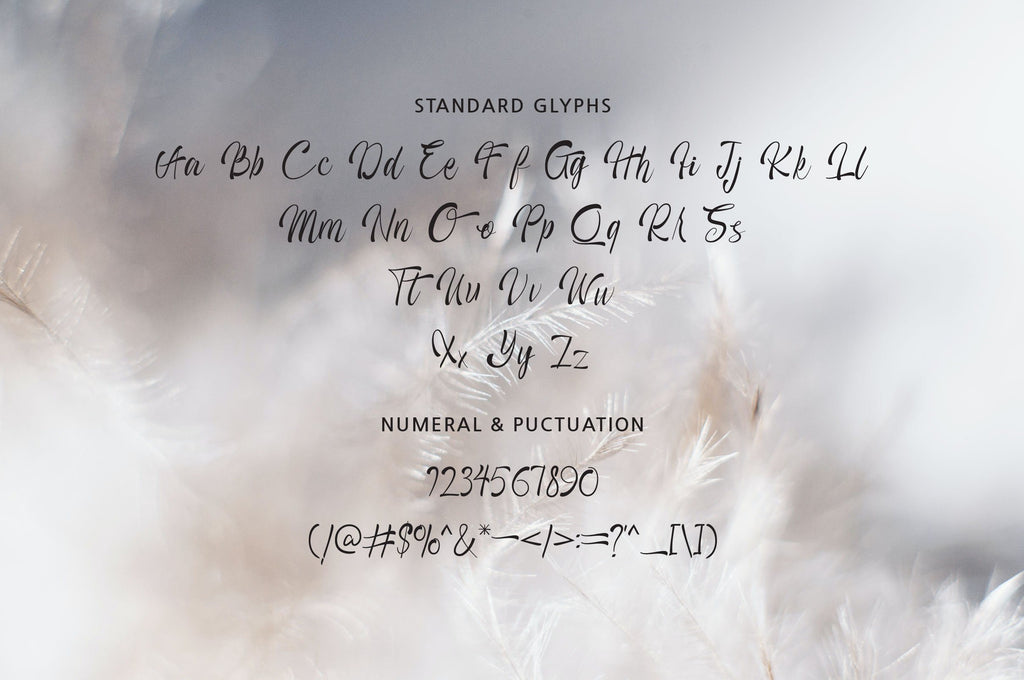 Hermilo Lettering Hermalia Handwritten Font - So Fontsy
