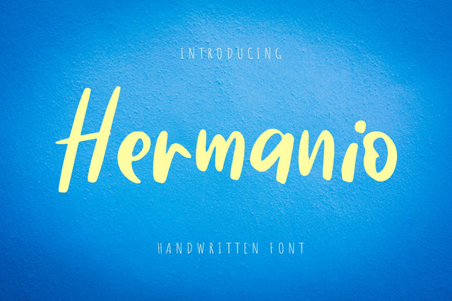 Hermanio Font dapiyupi store 
