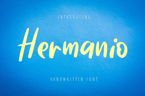 Hermanio Font dapiyupi store 