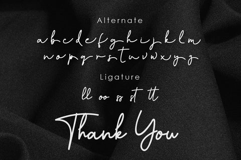 Hevana Signature Font Balevgraph Studio 