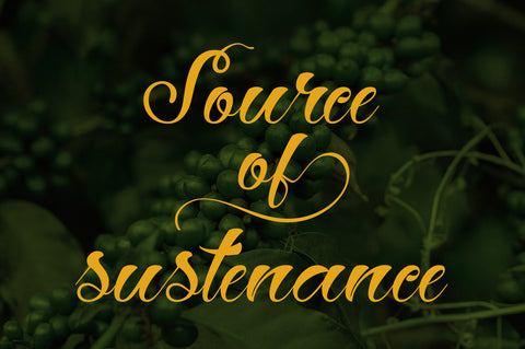 Hey Jintan Font gatype 