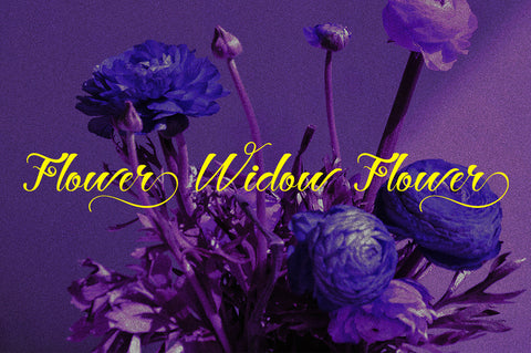 Hey Jintan Font gatype 