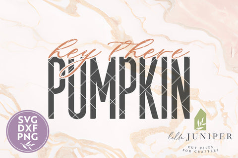 Hey There Pumpkin SVG, Fall Shirt Design SVG LilleJuniper 