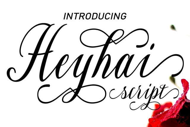 Heyhai Font Rama Type 