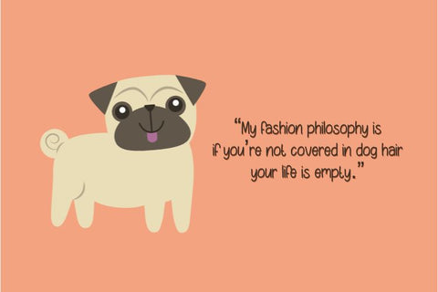 Heylie Font Masyafi Studio 