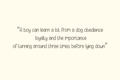 Heylie Font Masyafi Studio 