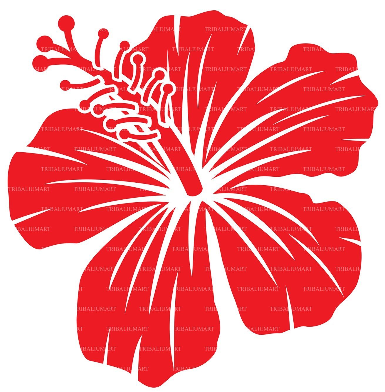 Hawaiian Flower SVG, Hibiscus Flower SVG, PNG, DXF, EPS, Cut Files For  Cricut And Silhouette