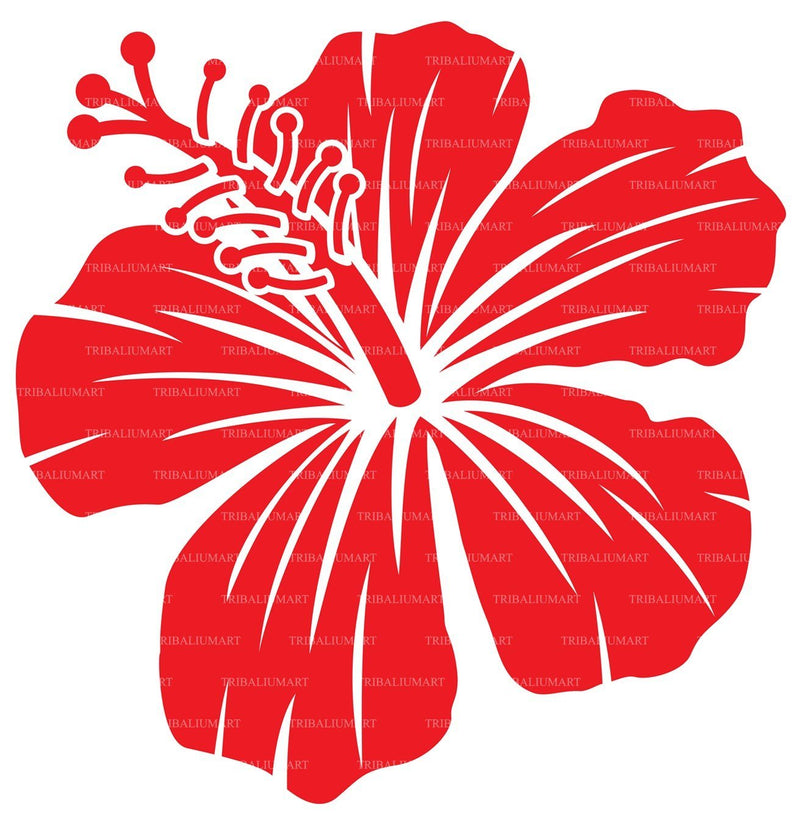 Hibiscus flower. Cut files for Cricut, Clip Art silhouette (eps, svg ...