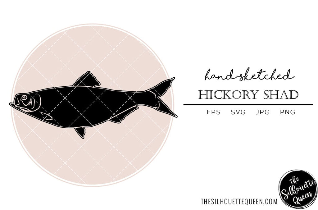 Hickory Shad Hand sketched, hand drawn vector clipart - So Fontsy