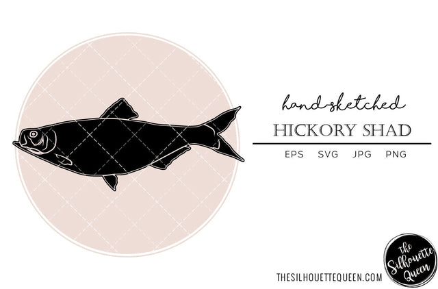 Hickory Shad Hand sketched, hand drawn vector clipart SVG Loveleen Kaur 