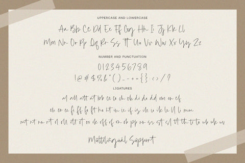 Hidden Beauty - Modern Script font Font Timur type 