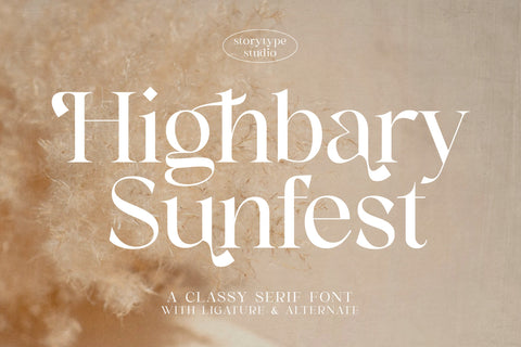 Highbary Sunfest Typeface Font Storytype Studio 