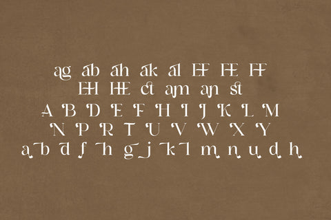 Highbary Sunfest Typeface Font Storytype Studio 