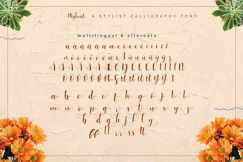 Higheat - Modern Calligraphy Font Font Ibey Design 