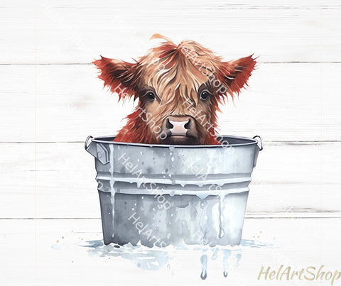 Highland Cow In a bucket Png, Sublimation Png Sublimation _HelArtShop_ 