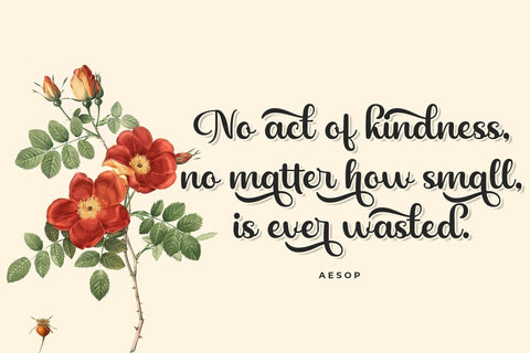 Highland Font love script 