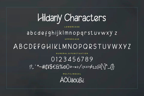 Hildany Sans Fun Font Font Creatype Studio 