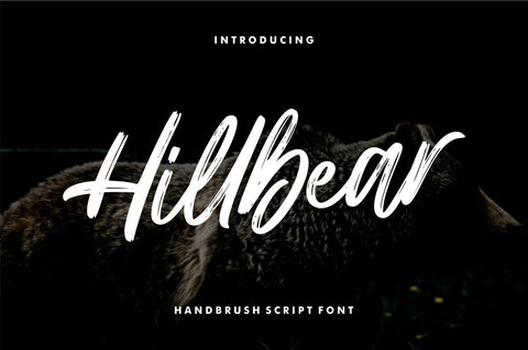 Hillbear - Handbrush Script Font Font StringLabs 