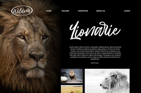 Hillbear - Handbrush Script Font Font StringLabs 