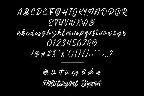 Hillbear - Handbrush Script Font Font StringLabs 