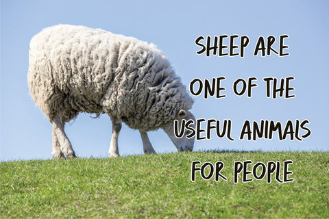 Hilmalaya Font Vultype Co 