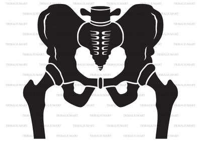 Hip bone SVG TribaliumArtSF 