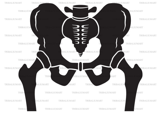 Hip bone SVG TribaliumArtSF 