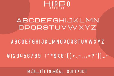 Hippo Sans Serif | 3 styles Font VPcreativeshop 