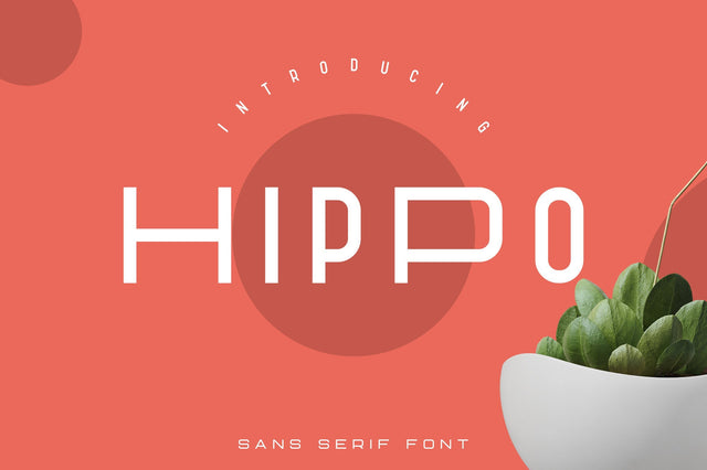 Hippo Sans Serif | 3 styles Font VPcreativeshop 