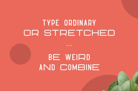 Hippo Sans Serif | 3 styles Font VPcreativeshop 