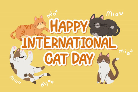 HIROKUDA - Playful Display Font Font StringLabs 