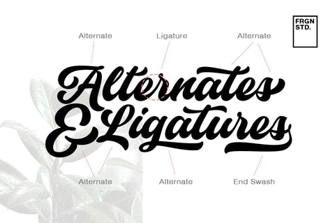 Historia script Font Fargun Studio 