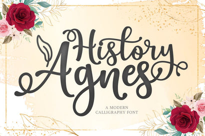 History Agnes Font Lettersams 