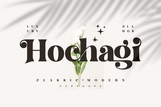 Hochagi Typeface Font Storytype Studio 