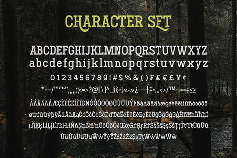 Hodgeson Font Arterfak Project 