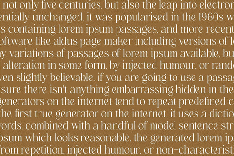 Hogbine Typeface Font Storytype Studio 