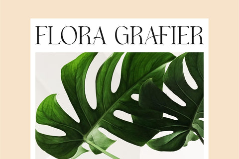 Hogbine Typeface Font Storytype Studio 