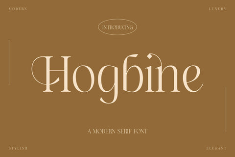 Hogbine Typeface Font Storytype Studio 