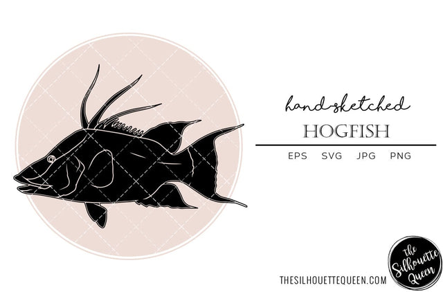 Hogfish Hand sketched, hand drawn vector clipart SVG Loveleen Kaur 