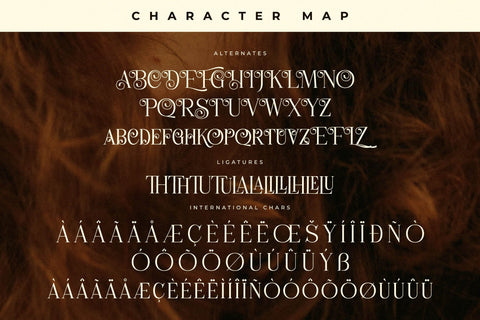 Holage Typeface Font Storytype Studio 