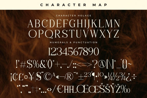 Holage Typeface Font Storytype Studio 