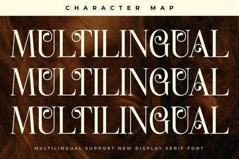 Holage Typeface Font Storytype Studio 