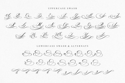 Holdywood Font Qwrtype Foundry 