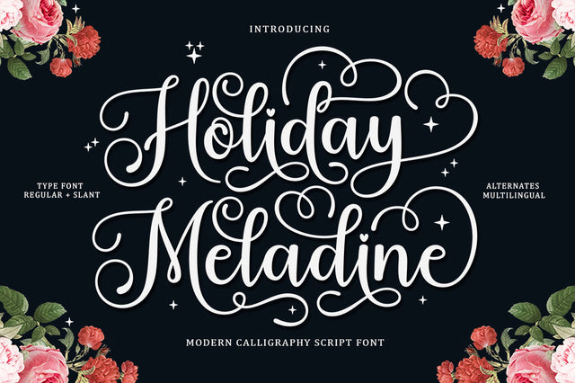Holiday Meladine - Script Font Font BungStudio 