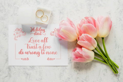 Holiday Start Font Suza Studio 