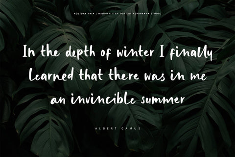 Holiday Trip - Handwritten Font Font Alpaprana Studio 