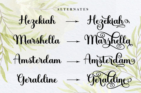 Holiday Washington Script Font muhammadzeky 