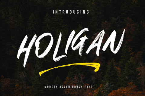 Holigan Brush Font Font Vultype Co 