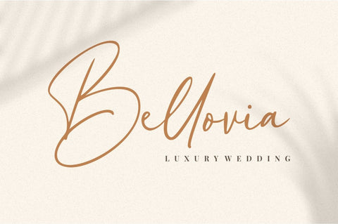 Hollie Mally Font Good Java 